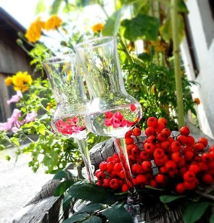 Farm stay Stoanahof Virgen