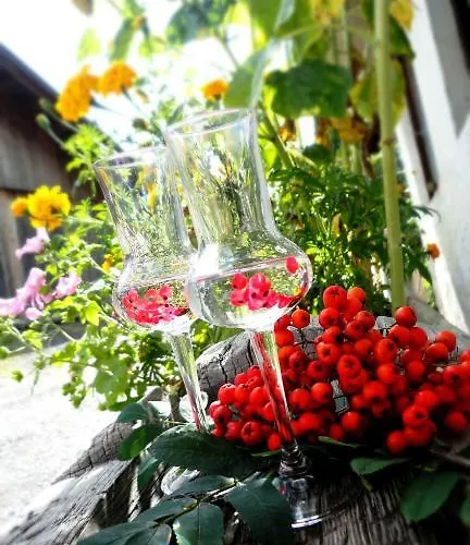 팜스테이 Stoanahof 비르겐