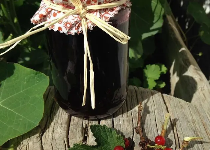 팜스테이 Stoanahof 비르겐