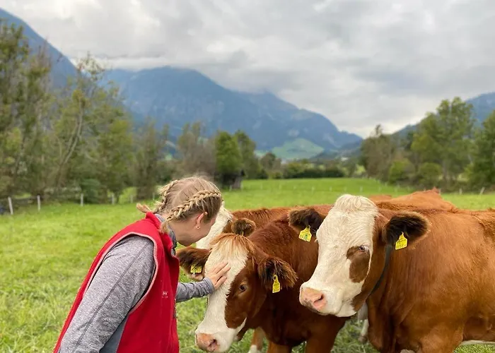 팜스테이 Stoanahof 비르겐