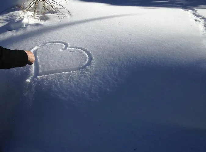 팜스테이 Stoanahof