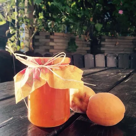 팜스테이 Stoanahof *