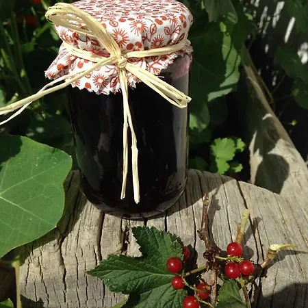 팜스테이 Stoanahof 비르겐