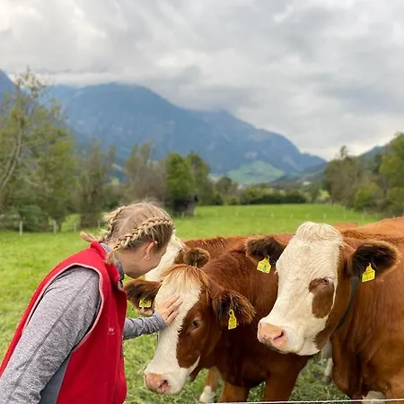 팜스테이 Stoanahof 비르겐