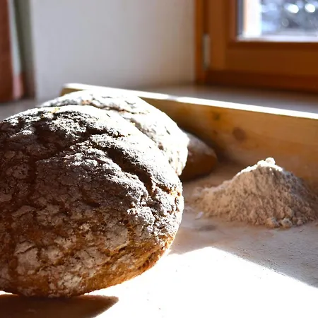 팜스테이 Stoanahof 비르겐